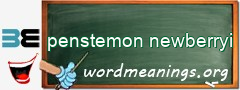 WordMeaning blackboard for penstemon newberryi